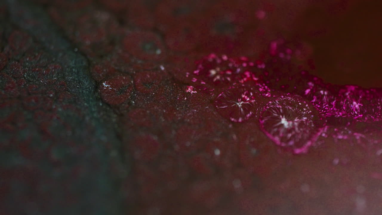 Dense purple ink blobs bubbling like lava. Macro shot