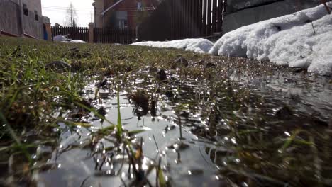 puddle in grass after melting snow