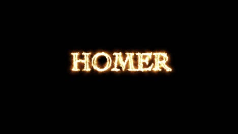 homer written with fire animation