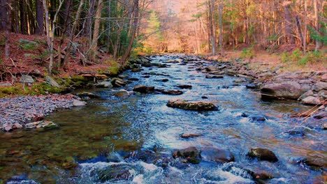 low aerial drone slow motion video footage of a mountain forest stream during fall with beautiful golden sunset sunlight