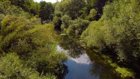 Volando-Tu-Dron-Sobre-El-Río-Ouse-Thetford-En-Un-Clima-Forestal