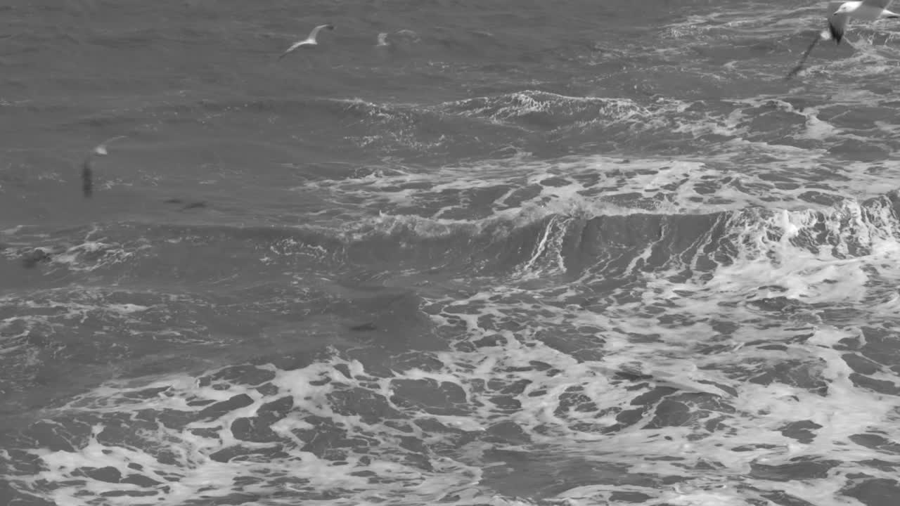 슬로우 모션 파도 충돌