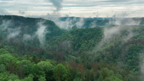 aerial view of the vast forests of the famous moravian karst region