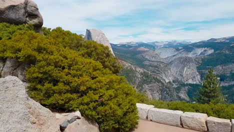 Sideways-stabilized-moving-shot-revealing-Half-Dome-in-the-background-in-Yosemite-National-Park,-California,-USA