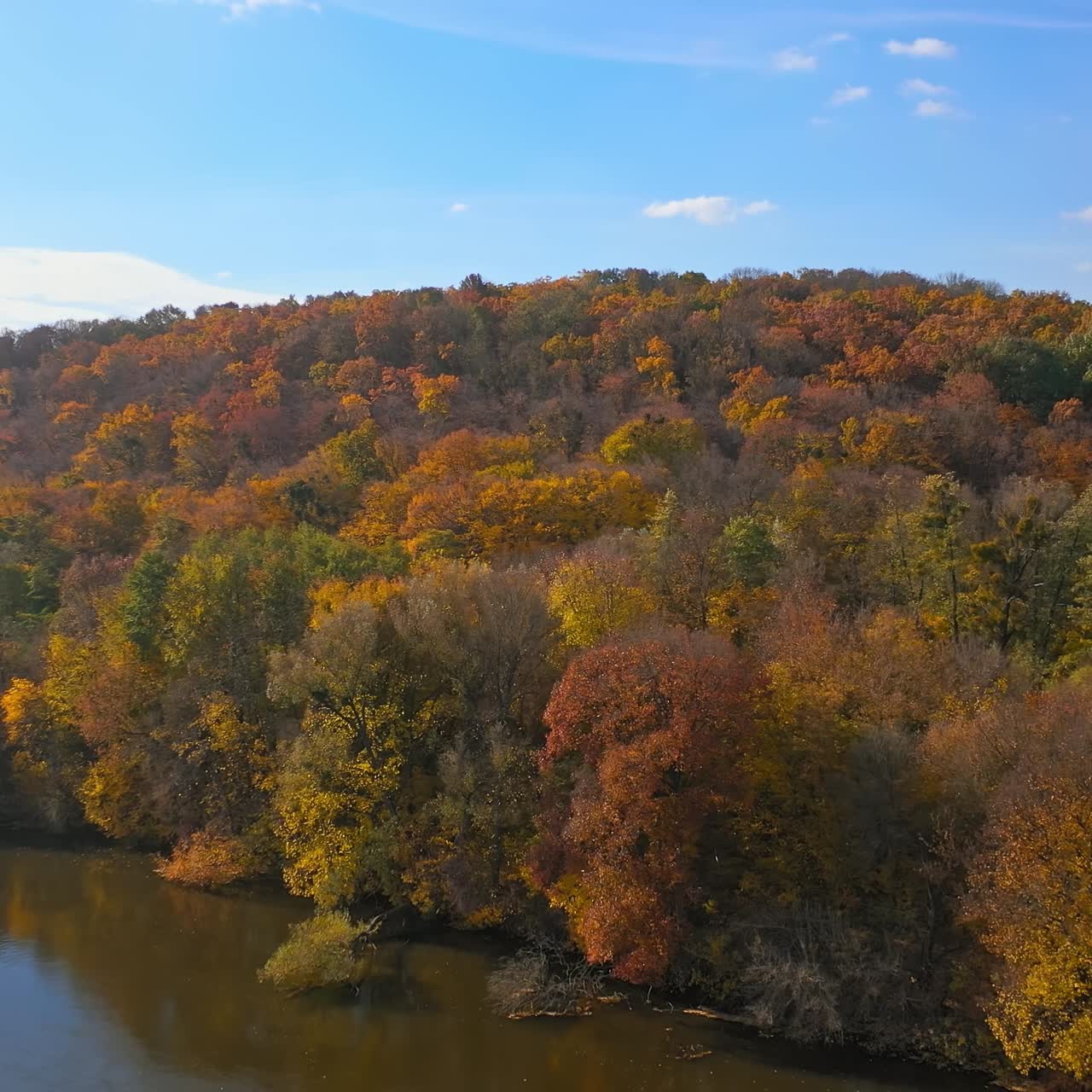 Beautiful autumn yellow river landscapes. Seasonal brown forest landscapes