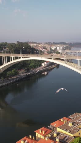 aerial vertical view city of porto, portugal