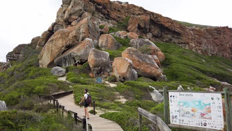 young girl walking on wooden path at robberg nature reserve