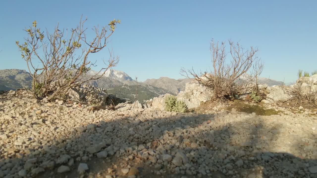 Enjoy a breathtaking view of the Tramontana mountains in Mallorca, showcasing the rugged landscape and clear sky. The serene environment captures the essence of this beautiful region.