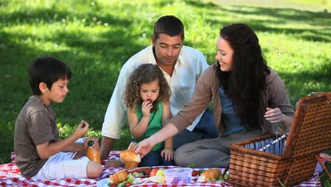 familia feliz festejando en un picnic