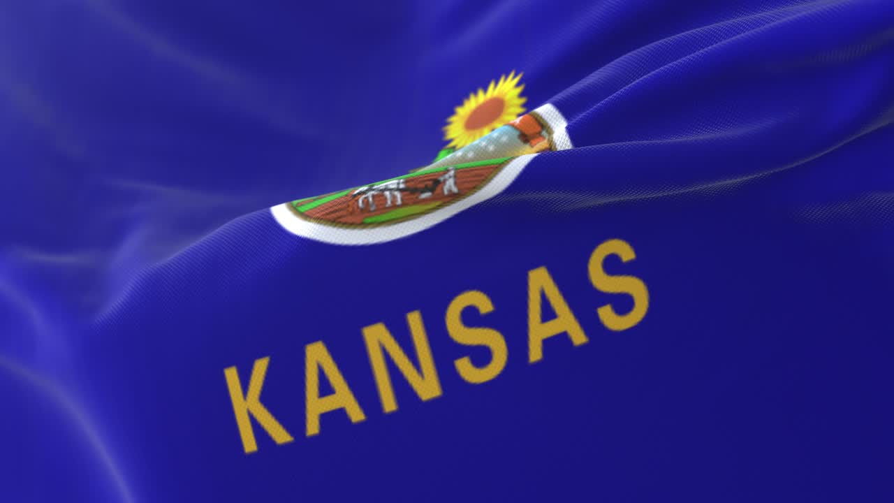 미국 캔자스 주의 발이 바람을 향해 흔들리고 있다.