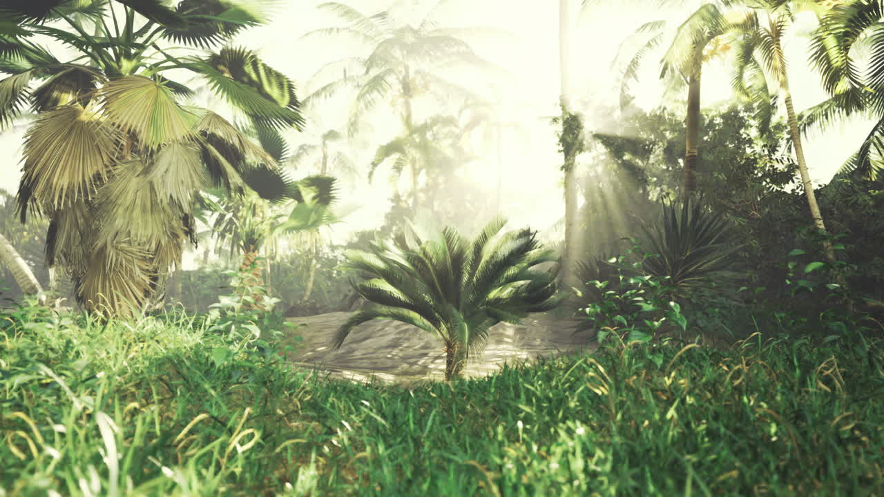 Lush tropical landscape with sunlight filtering through palm trees