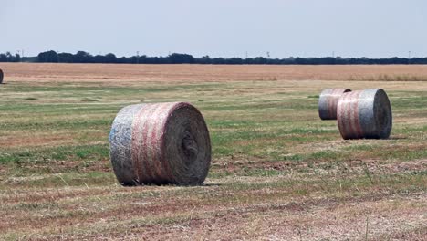 bandiera americana avvolte balle di fieno nel campo in attesa di essere raccolti e dalle mani del ranch