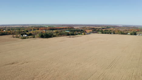 Flying-high-above-vast-fields-of-corn-waiting-to-be-cut-and-processed-for-the-grain-market