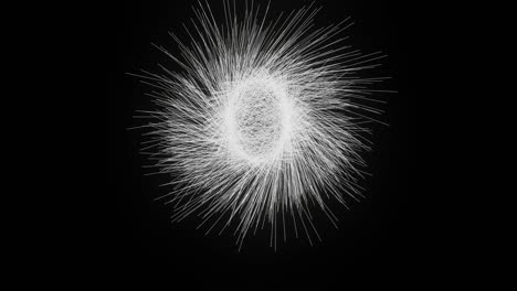 exploding firework on a black background