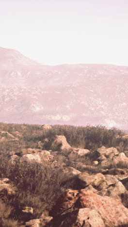 stunning mountain landscape with a vast, rocky field in the foreground