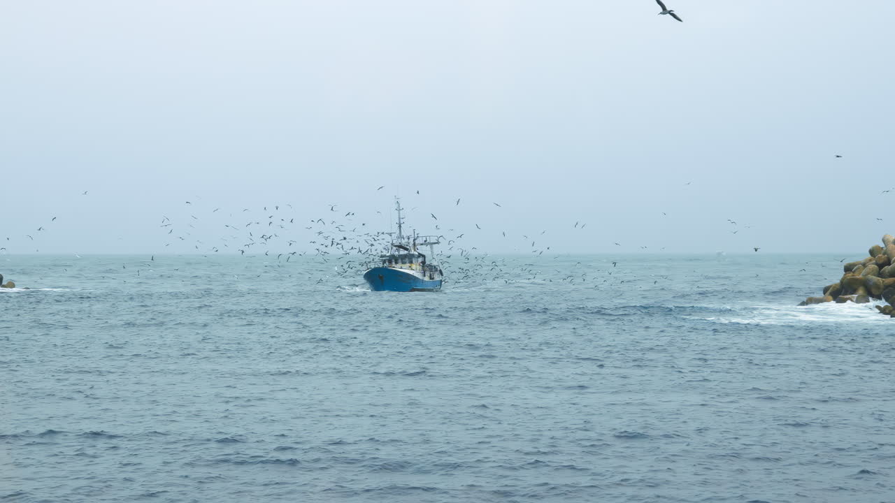 Fishing vessel surrounded by seagulls on a stormy weather at the coastline of Portugal