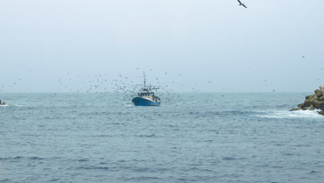 Fishing-vessel-surrounded-by-seagulls-on-a-stormy-weather-at-the-coastline-of-Portugal