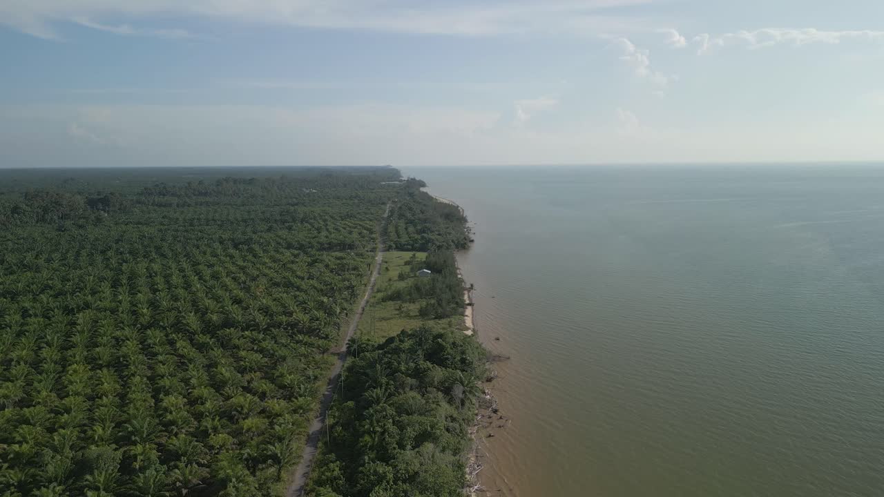 Aerial Drone View During Summer Alit Fishing Village,Kabong With, Facing Open Blue Sea, White Sandy Beach,Green Coconut, Palm Trees,And River,Sarawak,Borneo