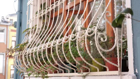 ornate window with plants