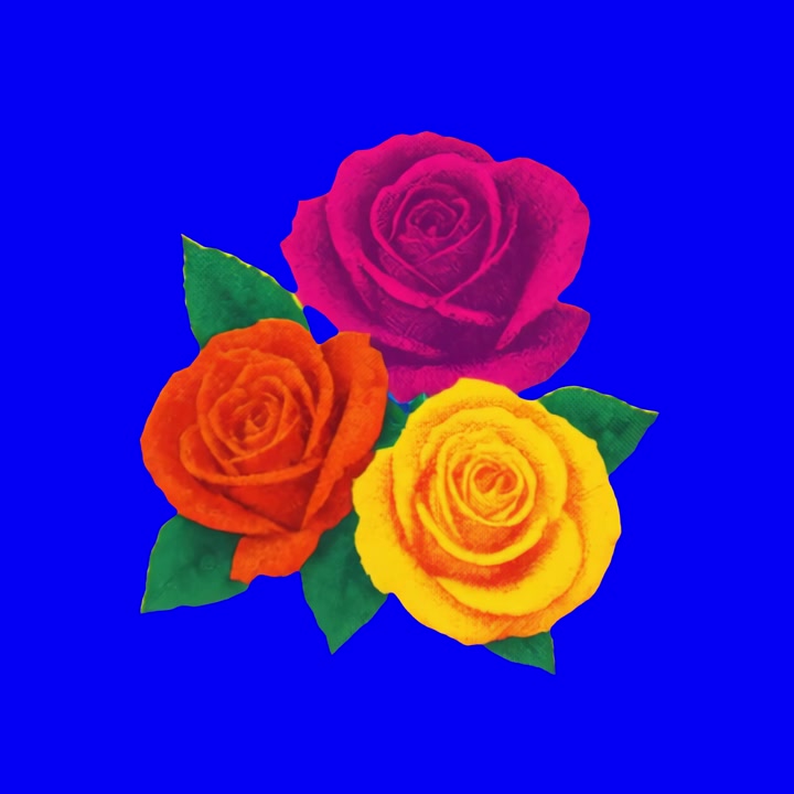 Tres rosas vibrantes en rojo, naranja y amarillo sobre fondo azul