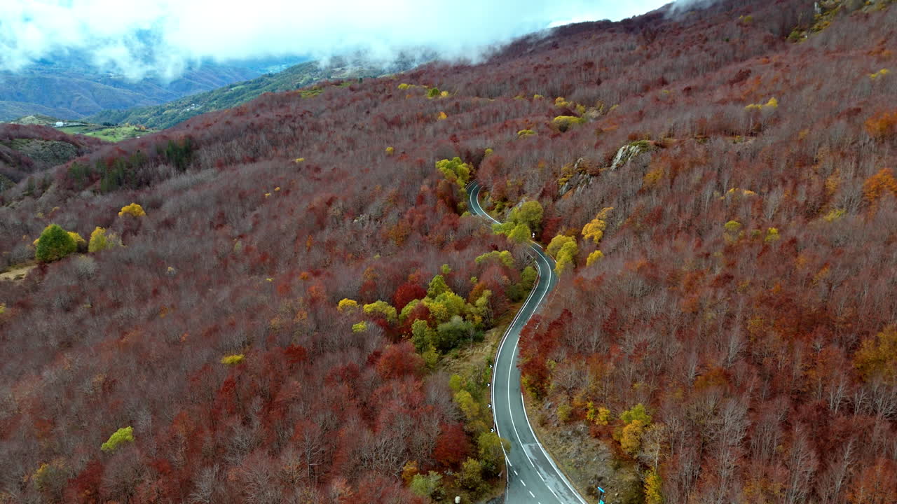 Aerial view of a winding road through vibrant autumn forest scenery