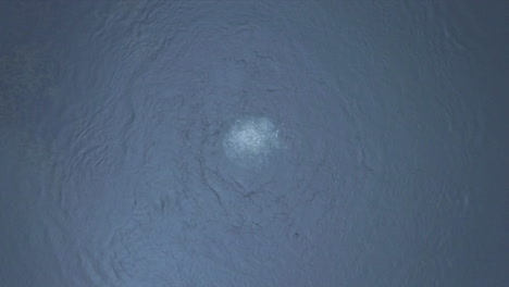 aerial shot bird's eye view on air bubbles surfacing on a pond, camera moving up and spinning, boquete, chiriqui, panama