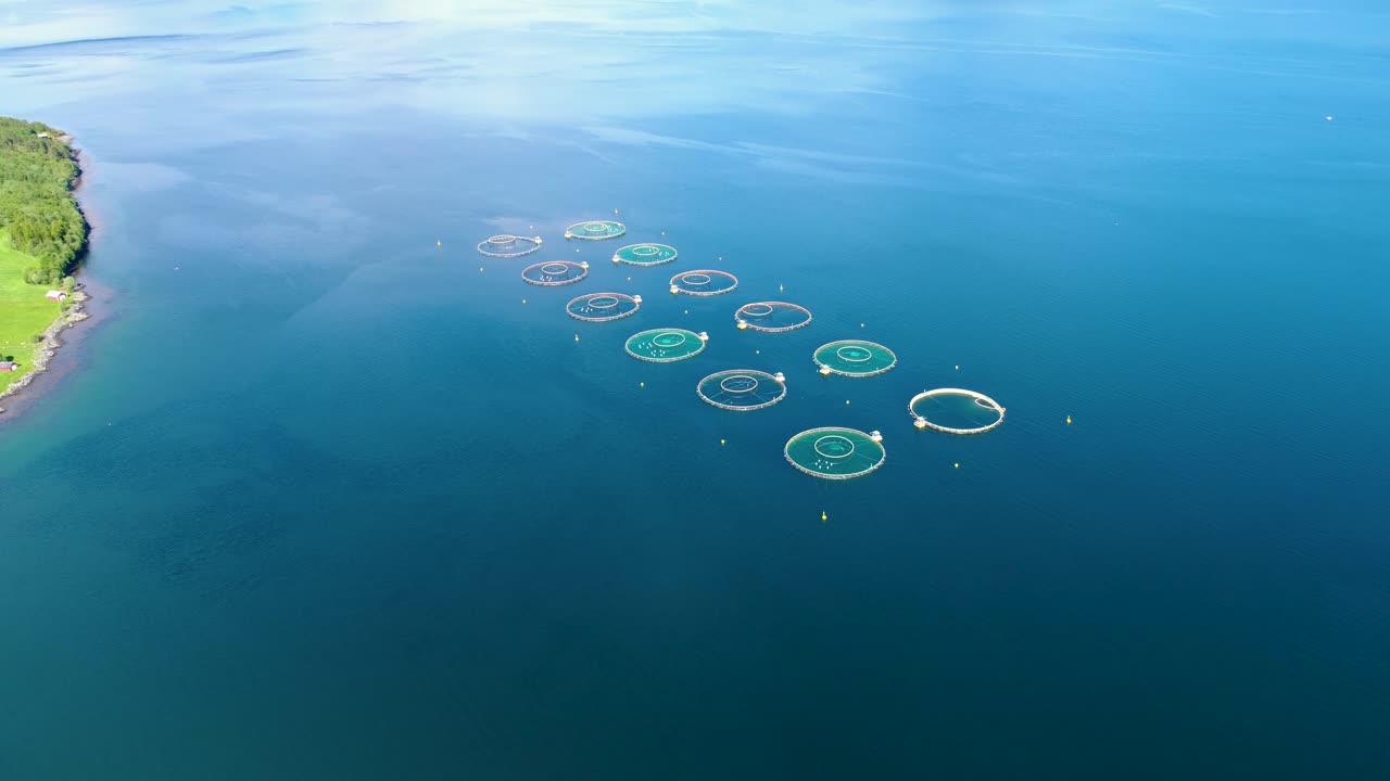 노르웨이에서 연어  ⁇ 시를 하는 공중 촬영