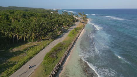 aerial view of coastal road with palm trees