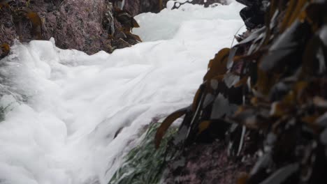 Slow-motion,-medium-shot-of-waves-crashing-into-a-mussel-and-barnicale-covered-rock