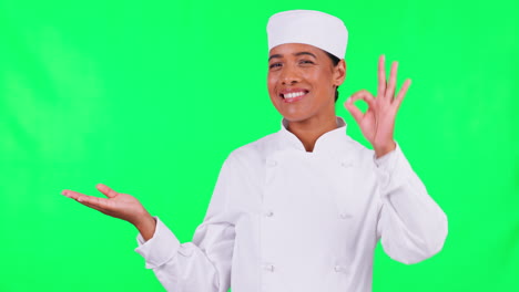Pantalla-Verde,-Chef-Y-Señal-De-Mano-Para-Aceptar