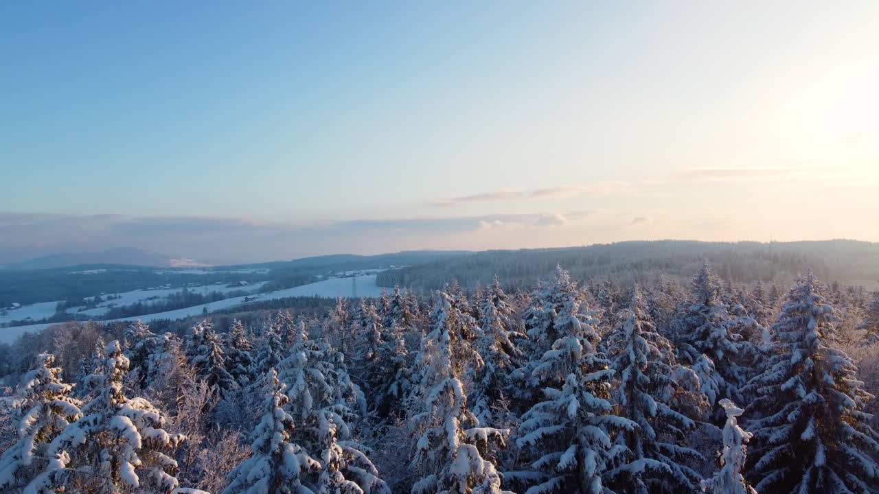 Vinterlandskab i skoven med løvfældende træer dækket af frisk sne i Jorat-skovene, kantonen Vaud, Schweiz – droneoptagelse fra luften