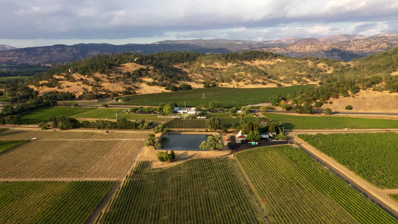 Drone approach over symmetrical vineyard fields in golden light near Napa winery