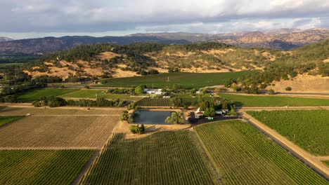 drone approach over symmetrical vineyard fields in golden light near napa winery