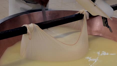 production of parmesan cheese, forming