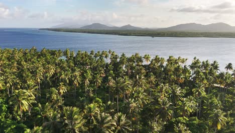 lush palm trees dominate the landscape of caxisigan island in balabac, palawan, with a serene coastline and distant mountain range visible under a partly cloudy tropical sky