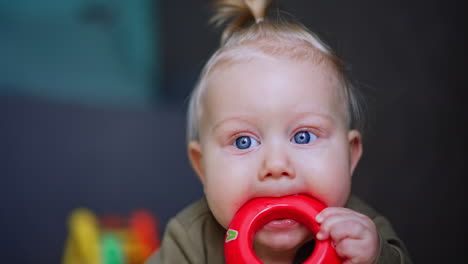 face of a blue-eyed blond baby holding a red toy in his mouth. close up. blurred backdrop.