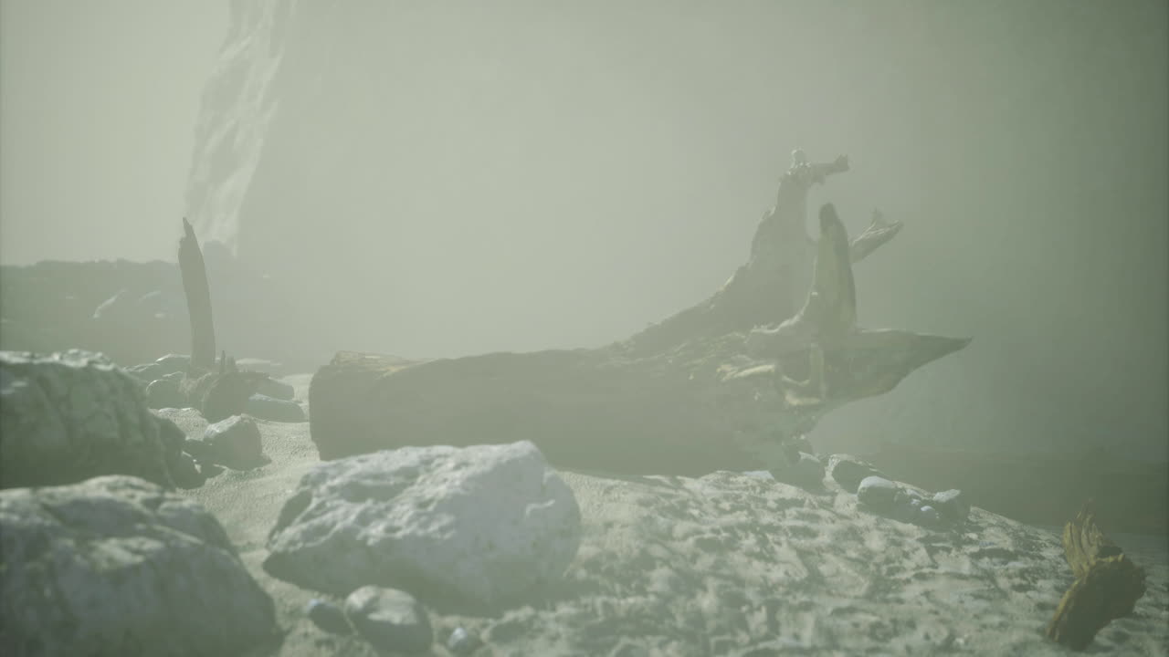 Mysterious rocky landscape shrouded in fog with intriguing formations at dusk