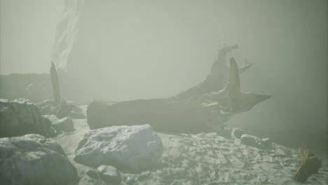 mysterious rocky landscape shrouded in fog with intriguing formations at dusk