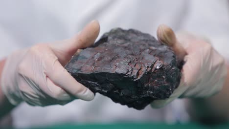 coal sample in hands