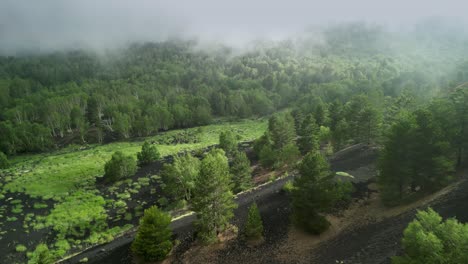 Ungewöhnliche-Landschaft-Mit-Lavaboden-Und-üppiger-Vegetation,-Natürlicher-Kontrast-Zwischen-Grau-Und-Grün-Und-Niedrigem-Nebel