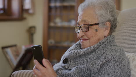 Retrato-De-Una-Anciana-Jubilada-Usando-Un-Teléfono-Inteligente-Enviando-Mensajes-De-Texto-Navegando-Disfrutando-De-La-Comunicación-Por-Teléfono-Móvil-Sonriendo-Enviando-Mensajes-SMS-En-La-Sala-De-Estar-De-Su-Casa