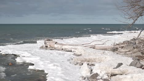 icy shoreline at southampton with driftwood, winter waves crashing, and a cloudy sky, wide shot