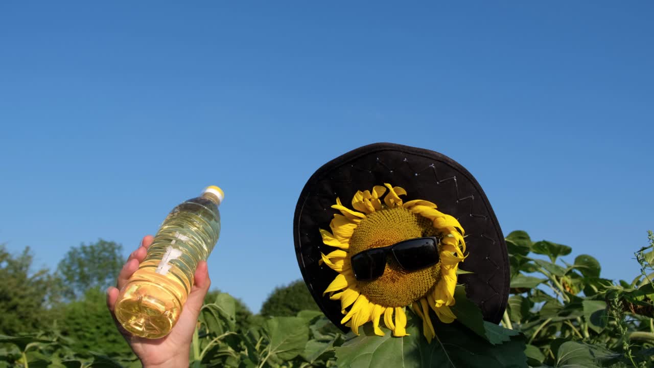 hermosa flor de girasol en gafas de sol estallando por el viento