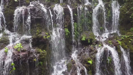 antena asciende cascada de bajo flujo a verde denso