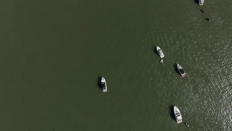 small yachts in the water, aerial vertical top down shot, right track