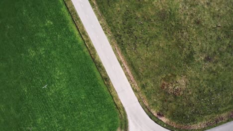 Aerial-drone-shot-of-guy-driving-on-a-motorcycle-between-fields