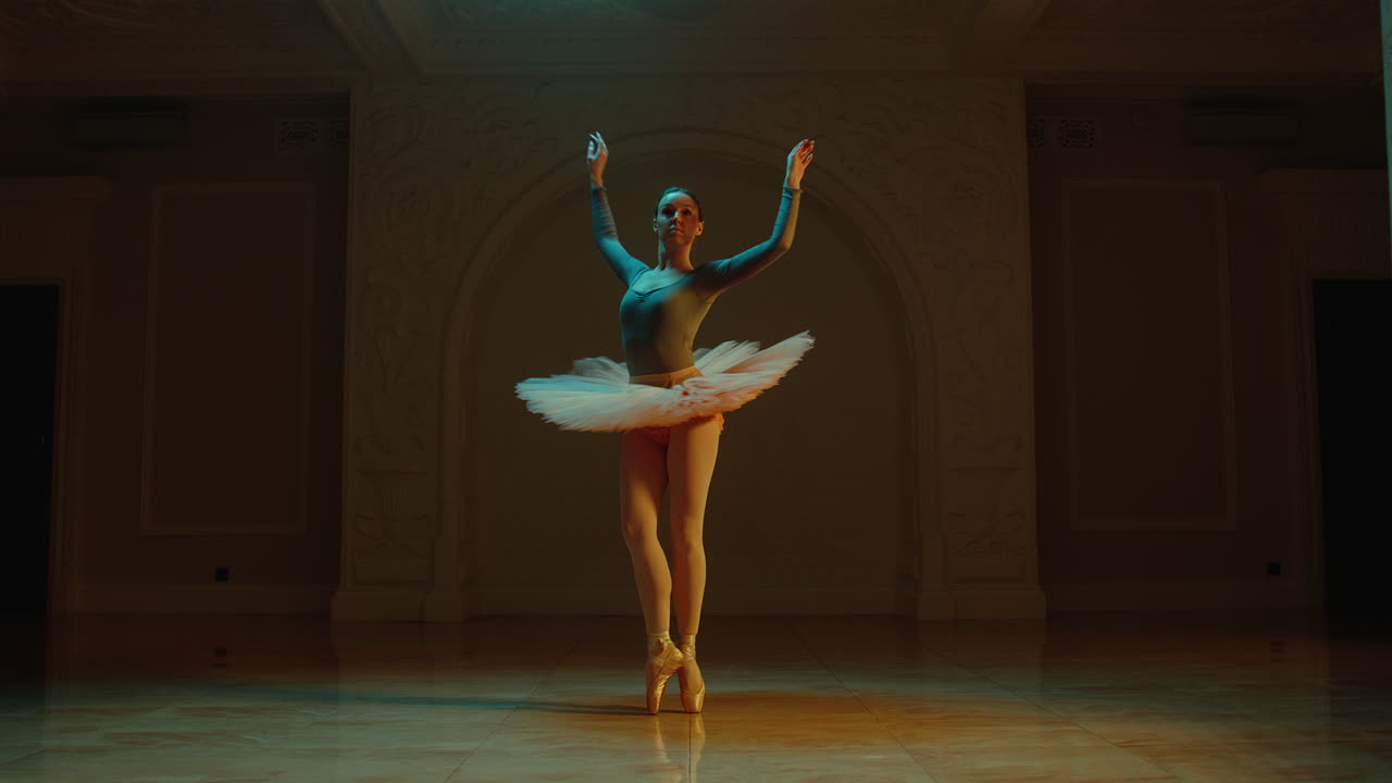 발레 댄서 공연