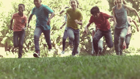 Cute-pupils-racing-on-the-grass-outside