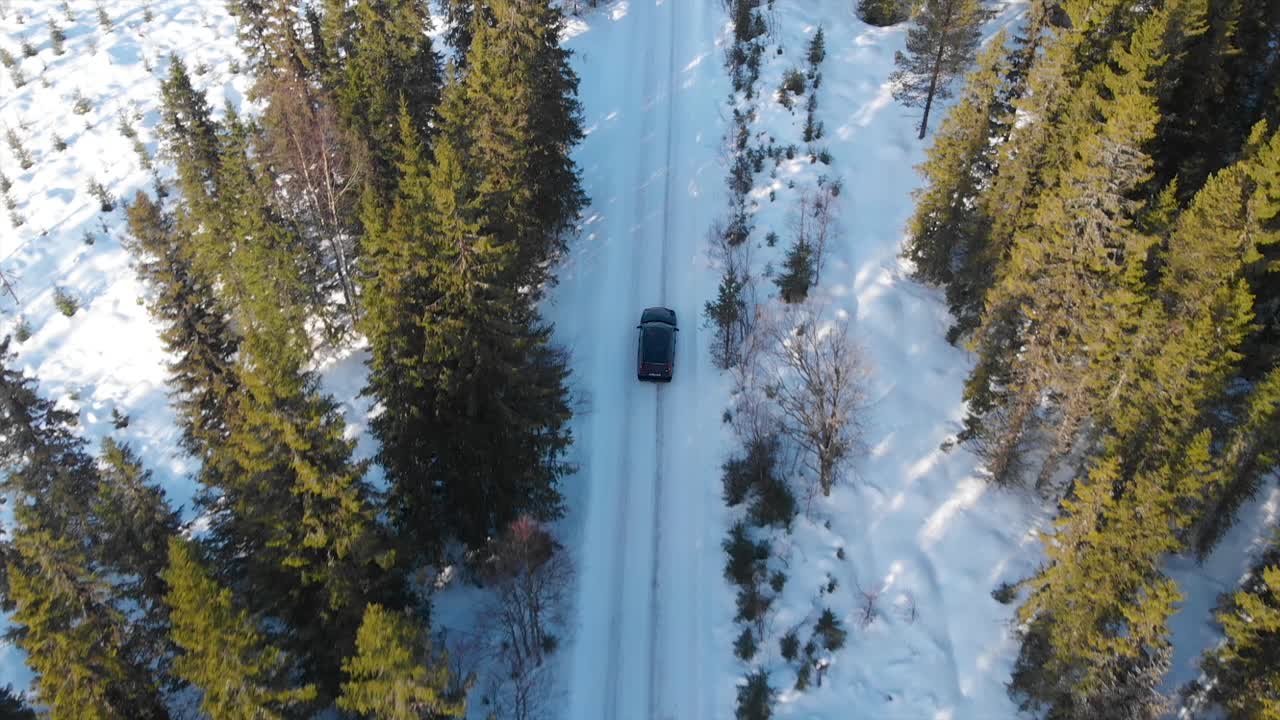 coche en carreteras de invierno, en el bosque
