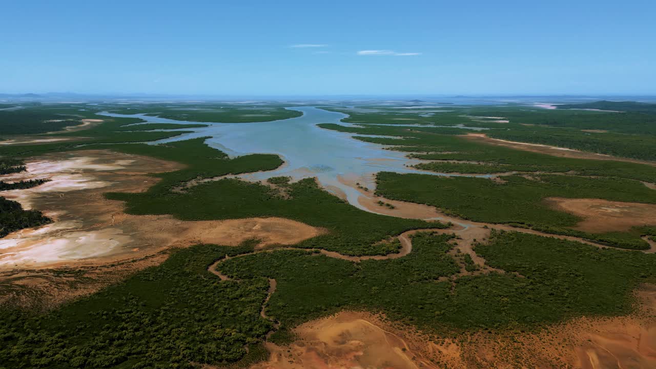 gum tree jungle jungle river en queensland, australia
